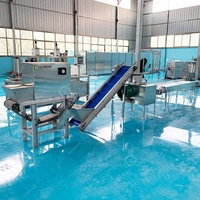 Machine de production de lignes de pelage d'ail