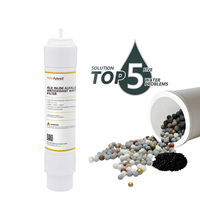 Penggantian Alkaline meningkatkan tingkat PH filter inline Reminerlization penyaring alkali Cartridge untuk rumah tangga