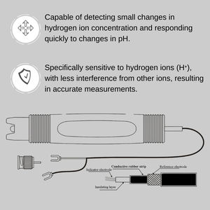 Micro Liquid Rs485 Modbus Soil Online Pool <span class=keywords><strong>pH</strong></span> Orp <span class=keywords><strong>Sensor</strong></span> Sonda para agua - Product Image 2