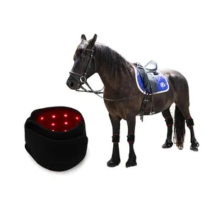 2023 Trending Rood Led Infrarood Lichttherapie Paard Infrarood Huisdierlamp Therapiepad Voor Thuisgebruik