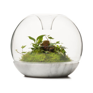 Terrarium Jar Mouthblown Geometric Borosilicate Glass Plant Terrarium Glass Vase