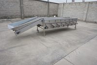 Hot Koop Fruit Citroen Mango Druif Ui Kleine Tomaat Sizer Grader Sorter Machine
