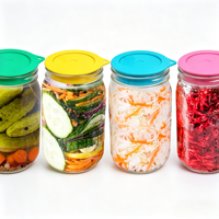 Couvercle de Fermentation Sans Eau pour Bocaux Mason - Silicone Alimentaire Écologique en Gros