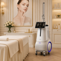Laser CO2 Ablatif et Fractionné 2027 pour l'élimination des cicatrices d'acné, des rides et des taches, le lifting du visage, l'équipement vaginal et la brosse de nettoyage du visage