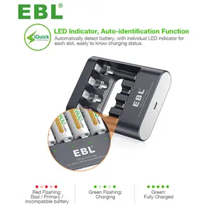 Caricabatteria individuale intelligente rapido EBL 40Min con porta USB per batterie ricaricabili AA AAA ni-mh