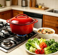 Vente en gros usine : Cocotte ovale en fonte émaillée brillante antiadhésive, compatible lave-vaisselle, 30 cm, pour soupes et ragoûts