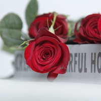 Pasokan Harga terbaik, bunga mawar merah bunga segar hadiah Hari Valentine 2023 dekorasi pernikahan untuk rumah