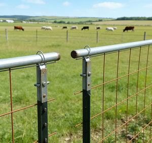 Poteaux <span class=keywords><strong>en</strong></span> T d'occasion de 7 pieds, peints <span class=keywords><strong>en</strong></span> <span class=keywords><strong>vert</strong></span>, directement de l'usine, assemblage facile, clôture de cour pour chevaux, faible entretien, construction <span class=keywords><strong>en</strong></span> treillis métallique <span class=keywords><strong>en</strong></span> acier - Product Image 6