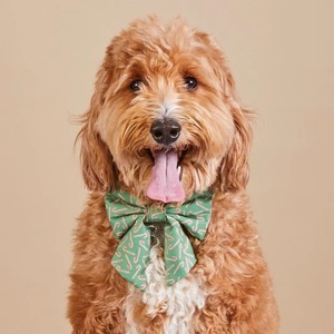 Arnés de Seguridad para Mascotas, Correa y Pañuelo, Set de Accesorios para Perros - Product Image 6