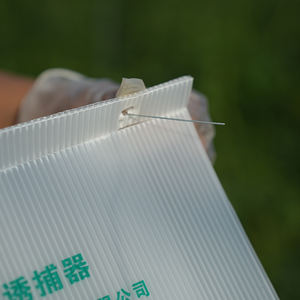 Piège à mites en plastique delta piège à mites <span class=keywords><strong>jackson</strong></span> piège à mites - Product Image 3