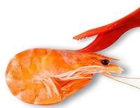 Couteau à décortiquer les pattes de homard et de crabe en plastique, accessoires de cuisine, outils pour fruits de mer, délai de livraison 1 jour
