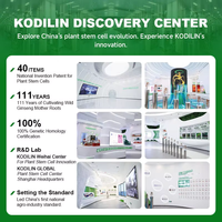 KODILIN Fournisseur de Confiance Usine Mélange Botanique Herbal Riche en Nutriments à Base de Plantes Mélange Naturel Racines de Ginseng Adventices Séchées