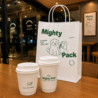 Sacs alimentaires en papier kraft écologiques recyclables avec poignées torsadées |   Emballages personnalisés pour pizzas et sushis à emporter pour restaurants et cafés