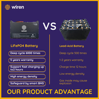 Batería de Montacargas Wiren de 51.2V 460Ah 23.55kWh LiFePO4 Líquida, Más de 6000 Ciclos, Protección BMS de 300A, Bluetooth Integrado, Personalizable |