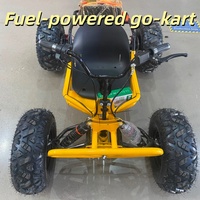 Go Kart Deportivo para Adultos y Adolescentes, con Tracción de Cadena, Motor de Gasolina de 4 Tiempos, para Parques de Diversiones