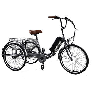 ODE/OEM 36V 250W <span class=keywords><strong>vélo</strong></span> hybride électrique 24 pouces cadre en acier porte-bagages arrière fabriqué en Chine 36V batterie au lithium fret e-bike Fahrrad - Product Image 1