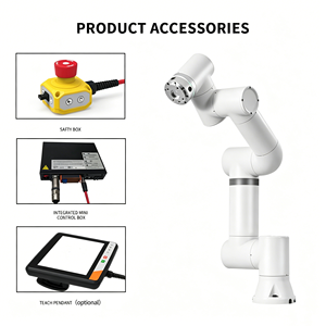 Brazo Robótico Colaborativo de Alta Precisión de 6 Grados de Libertad para Soldadura y Apilado de Palés, con Controlador - Product Image 4