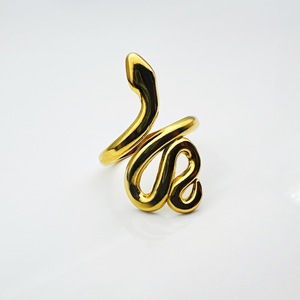 유럽풍 티타늄 스틸 뱀 모양 오픈 링 레트로 패션 니치 개성 스테인리스 스틸 여성용 반지 - Product Image 5