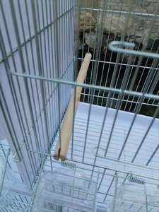 Toptan papağan güvercin yetiştiriciliği tel kafes açık fabrika büyük beyaz papağan metal tel kafes bıldırcın kuş kafesi koymak - Product Image 5