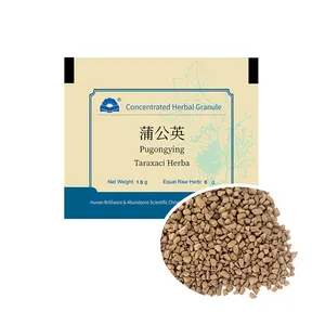 Granule d'extrait de racine de pissenlit de poudre de flavonoïdes d'herbe chinoise pour le mal de gorge