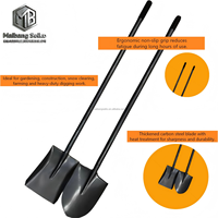 Servizi OEM/ODM di Qualità Affidabile Disponibili, Paletta Mini in Acciaio Inox con Manico in Legno per Cogliere Polvere e Funghi all'Aperto