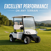 Voitures de golf tout-terrain chinoises à bas prix, personnalisées, de haute qualité, à 2 places, polyvalentes, pour le tourisme, le camping et les clubs
