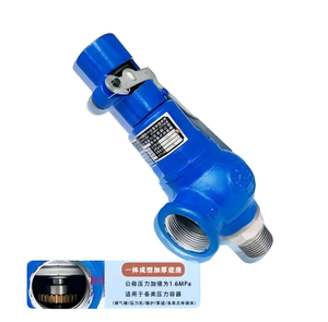 Soupape de sécurité manuelle filetée DN40 de haute qualité en fonte ductile - Product Image 3