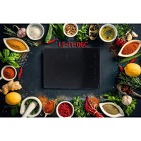 Cuisinière à induction 12v 24v dc cuisinière électrique avec boîtier en plastique