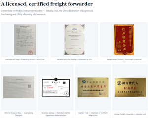 Agente de Transporte Marítimo LCL de <span class=keywords><strong>China</strong></span> a Estados Unidos, Canadá y México, Servicio de Logística DDP Puerta a Puerta con Despacho de Aduanas Express - Product Image 4