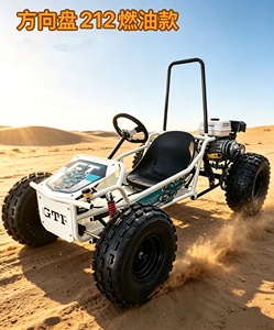 Go-Kart Profesional de Carreras para Adultos, Equipado con Motor de Gasolina de 212cc, 4 Tiempos, 1 Cilindro, 750W de Potencia, Velocidad de 60km/h, Transmisión por Cadena - Product Image 2