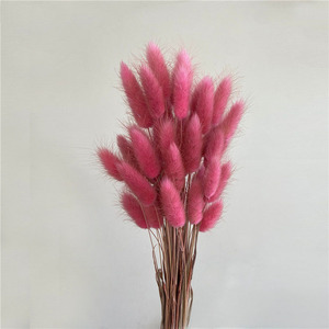 Vente en gros d'herbe à queue de lapin préservée, bouquet d'herbe naturelle de <span class=keywords><strong>Lagurus</strong></span> ovatus pour les événements de mariage à la maison, arrangement floral - Product Image 4