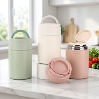 Conteneur alimentaire isotherme en acier inoxydable 316 de 500 ml avec couvercle et cuillère pliable