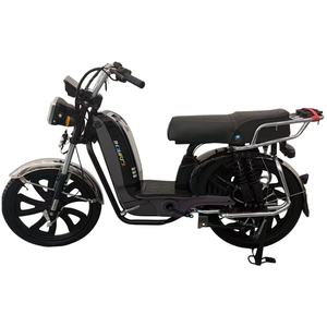 Bicicletta Elettrica da 22 Pollici con Freni a Disco Anteriori e Posteriori, Batteria al Piombo-Acido per Uso Domestico, Potente e Resistente - Product Image 2