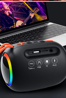 Haut-parleur portable personnalisé en plastique avec poignée, Bluetooth 5.3, Subwoofer, Son HIFI 10-30W, Lumières RGB Colorées, TWS, OEM, pour Fêtes en Extérieur et Voyages