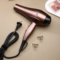 Sèche-cheveux professionnel 2000W Usine OEM Salon Ionique Salon professionnel Sèche-cheveux avec diffuseur