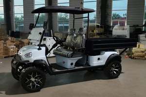 Carrito de Golf de 2 Plazas con Batería de Litio y Chasis de Aluminio para Uso en Limpieza y Transporte - Product Image 4