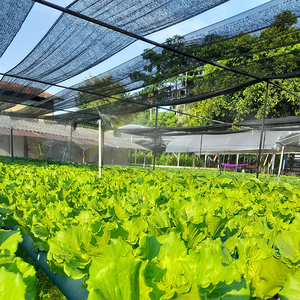 <span class=keywords><strong>Filet</strong></span> de jardin noir hdpe <span class=keywords><strong>filet</strong></span> de maille <span class=keywords><strong>agricole</strong></span> <span class=keywords><strong>filet</strong></span> d'ombre de serre de jardin 90% - Product Image 3