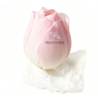 Fabricant d'usine personnalisé, œuvres d'art, fleurs, maquette, modèle, pièces en plastique imprimées en résine SLA, ABS, service d'impression 3D Gaojie SLS SLM