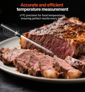 Lonnmeter เทอร์โมมิเตอร์วัดอุณหภูมิอาหารในเตาย่างบลูทูธไร้สาย, เครื่องวัดอุณหภูมิเนื้ออาหารในครัวแบบอัจฉริยะกันน้ำได้ - Product Image 6
