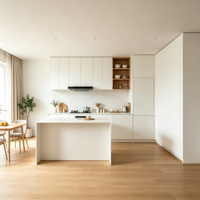 Meubles de cuisine modulaires en bois sur mesure, fabrication OEM, portes à panneaux plats, rangement multi-tiroirs pour cuisine résidentielle