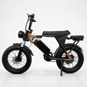 Bicicleta eléctrica de montaña con neumáticos de 20*4 pulgadas, batería de litio de 48V 15Ah, asiento trasero y frenos de disco hidráulicos duales. - Product Image 1