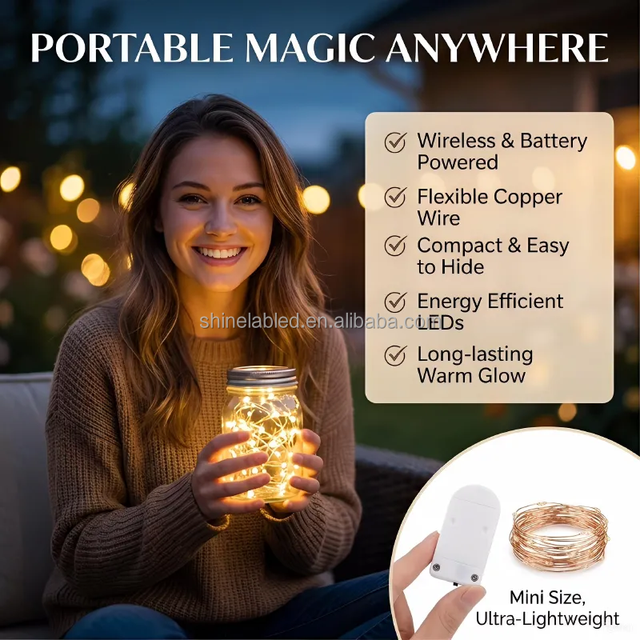 Battery Operated LED String Lights Mini Waterproof Silver Wire Fairy Lights for Wedding Christmas Party DIY Decor Warm White