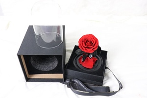 Ángeles rosas preservadas en cúpula de cristal regalo de San Valentín Flor de diente de león preservada - Product Image 3