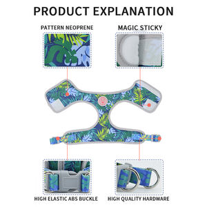 Arnés de nailon transpirable con cadena de correa de perro estilo deportivo de lujo personalizado para razas pequeñas y medianas Neopreno estampado a la moda para gatos - Product Image 4