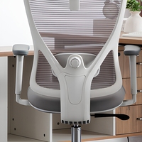 Meilleure vente gris maille ordinateur 2d soutien lombaire pas cher maison grand inclinable soutien lombaire à 125 degrés chaise de bureau grand ergonomique