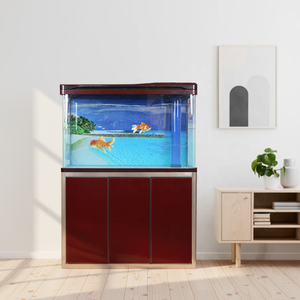 <span class=keywords><strong>Acquario</strong></span> Rettangolare in Vetro Xilong HK-1000G 240L per Uso Interno/Esterno, Fondo Ultra Bianco Trasparente Compatibile con Filtro - Product Image 2