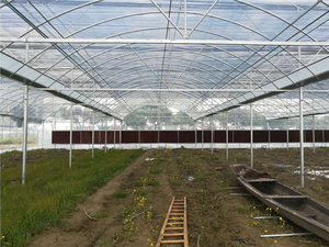 Filet anti-insectes et d'ombrage pour environnement Contrôleur de serre 50 mailles pour <span class=keywords><strong>l</strong></span>égumes champignons fleurs - Product Image 4