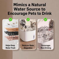 Fontaine à eau automatique pour animaux de compagnie de 2 L, entièrement amovible pour un nettoyage sans effort, idéale pour les chats et les chiens