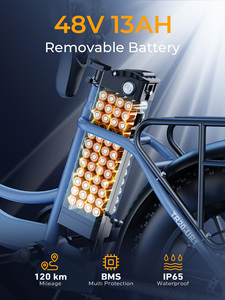 Distributeur de vélos électriques commerciaux, modèle 20x4 Fat Tire Ebike, entrepôt UE/Royaume-Uni, livraison rapide - Product Image 2