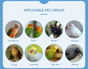 Finches Budgies Cockatiels için lüks kuş kafesi Conures kanaryalar papağanlar istiflenebilir yetiştiriciliği uçuş Parakeet kafes kutusu geliyor - Product Image 6